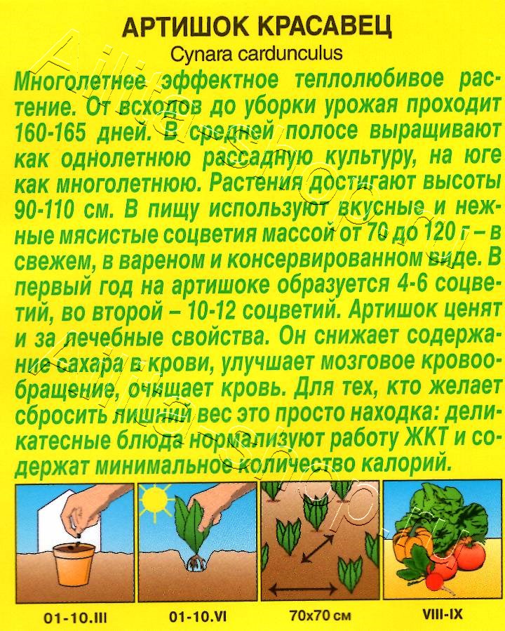 Артишок Красавец 12шт