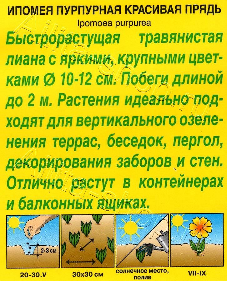 Ипомея Красивая прядь 1г