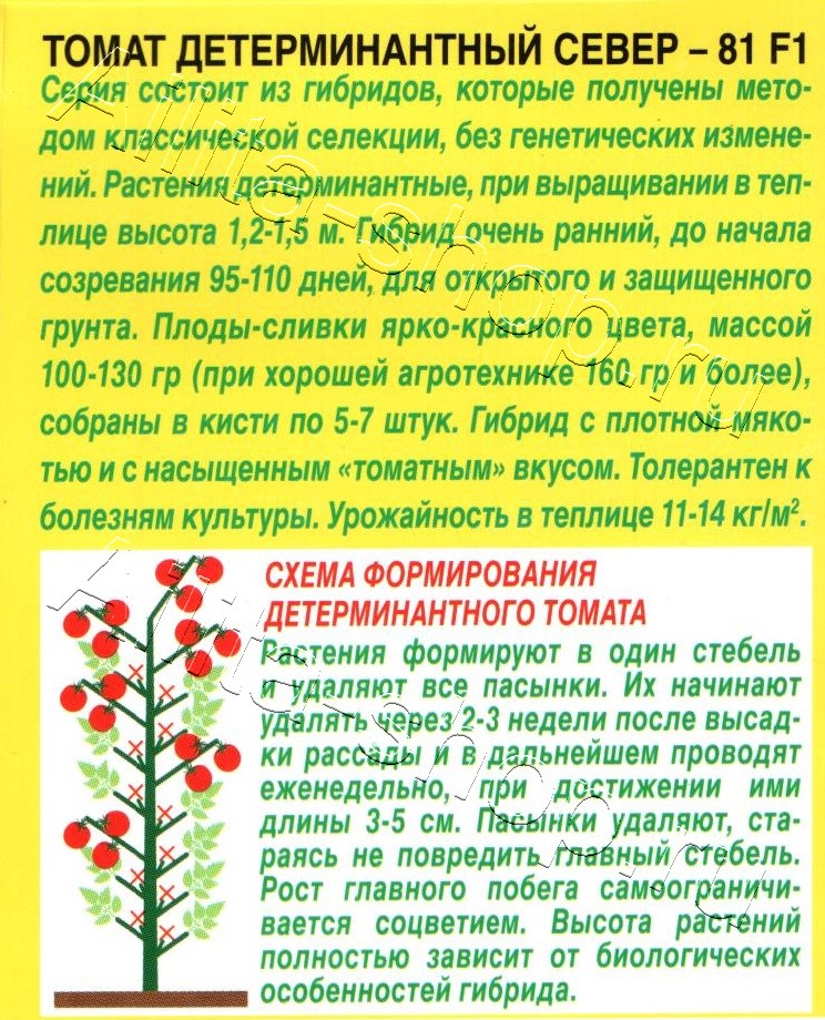 Томат Север-81 F1 20шт