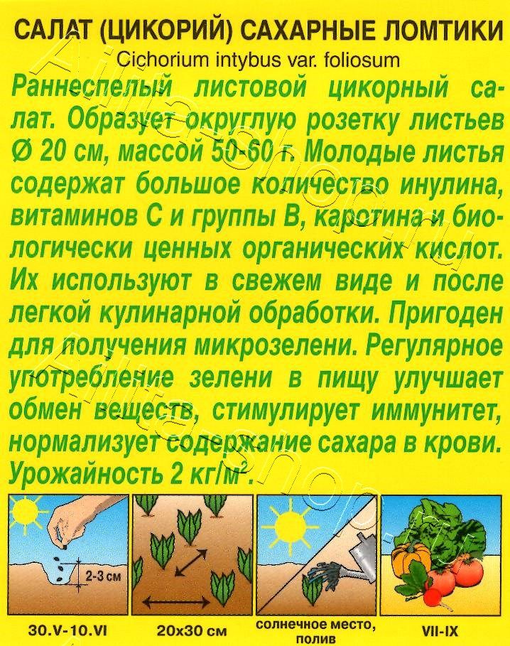 Салат Сахарные ломтики (цикорий) 0,5г