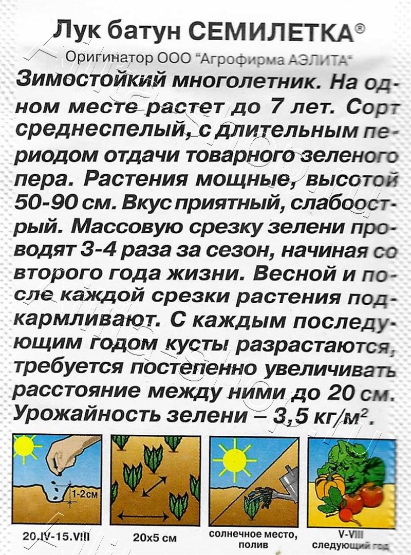 Лук батун Семилетка 0,5г