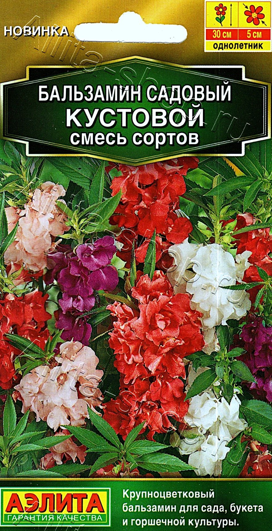 Бальзамин садовый Кустовой, смесь сортов 0,2г