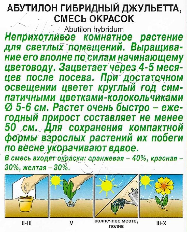 Абутилон гибридный Джульетта, смесь сортов 15шт