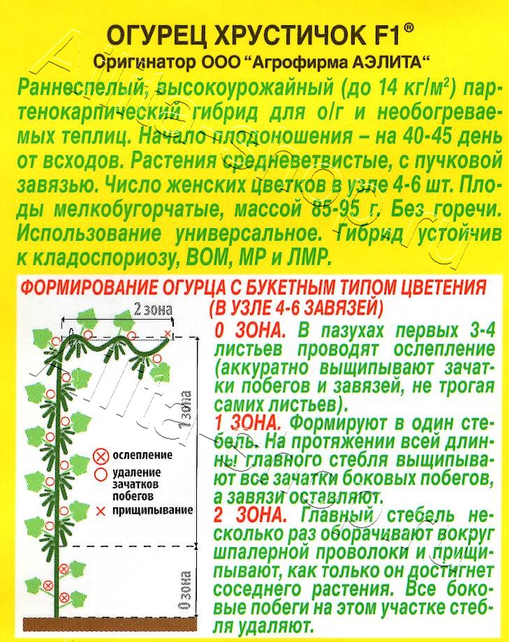 Огурец Хрустичок F1 10шт