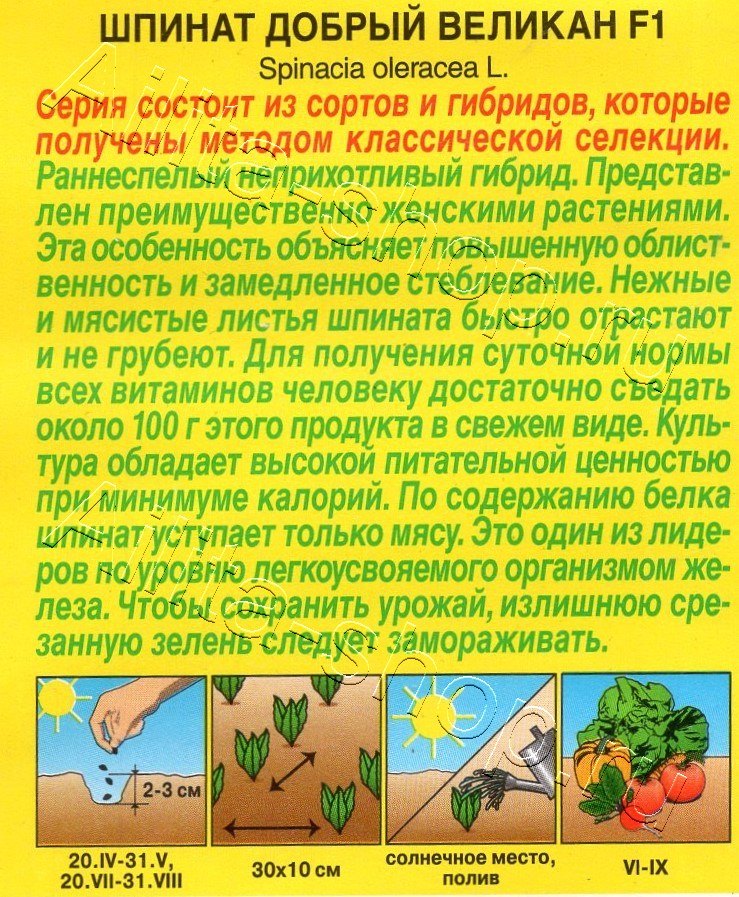 Шпинат Добрый великан F1 1г