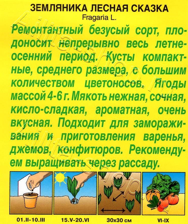 Земляника Лесная сказка 0,04г