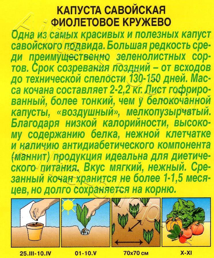 Капуста савойская Фиолетовое кружево 0,3г