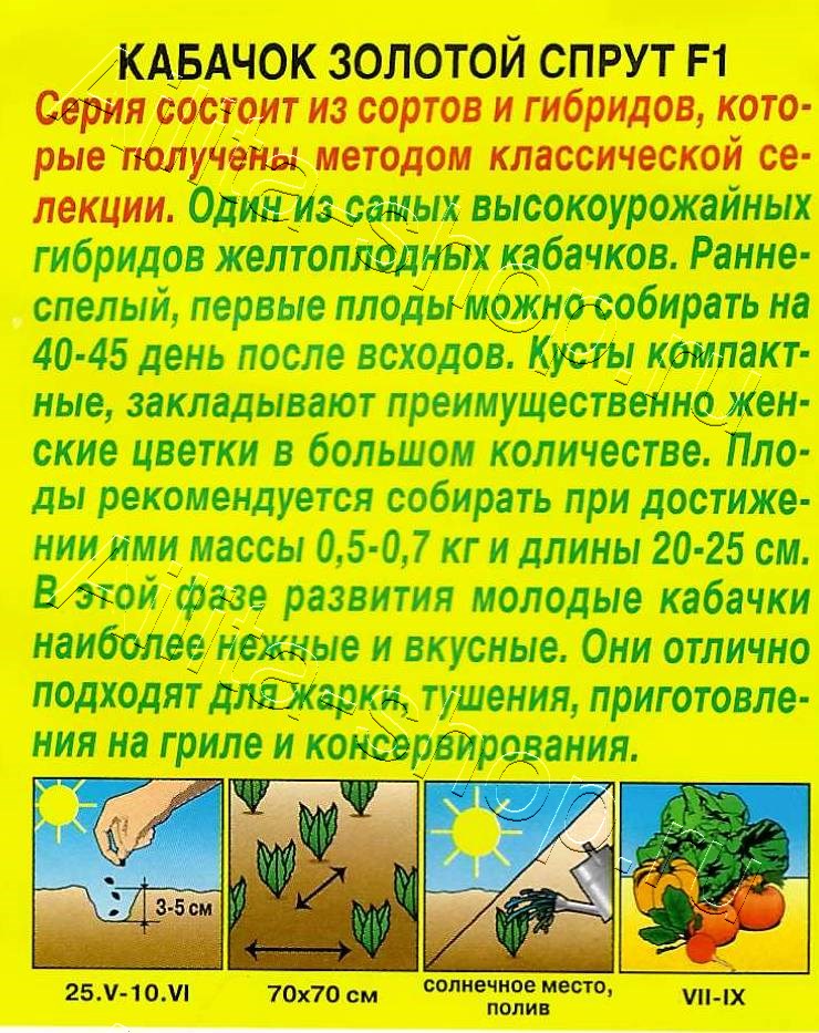 Кабачок цуккини Золотой спрут F1 5шт