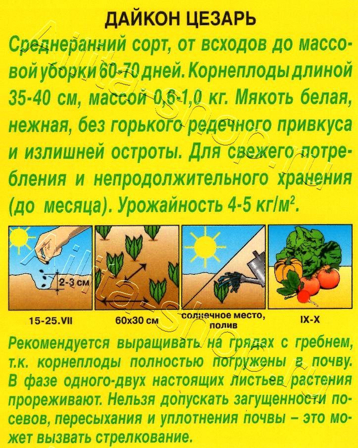 Дайкон Цезарь 1г