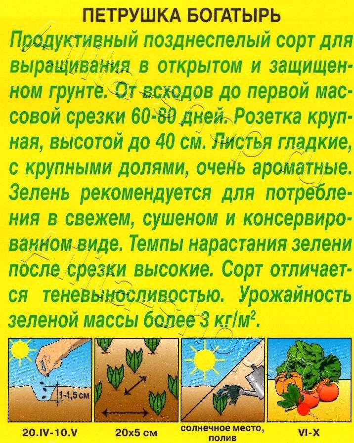 Петрушка листовая Богатырь 2г