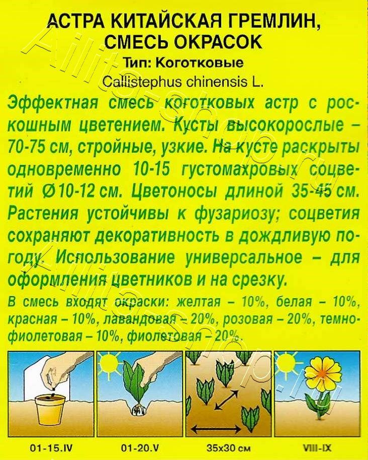 Астра Гремлин, смесь окрасок 0,2г