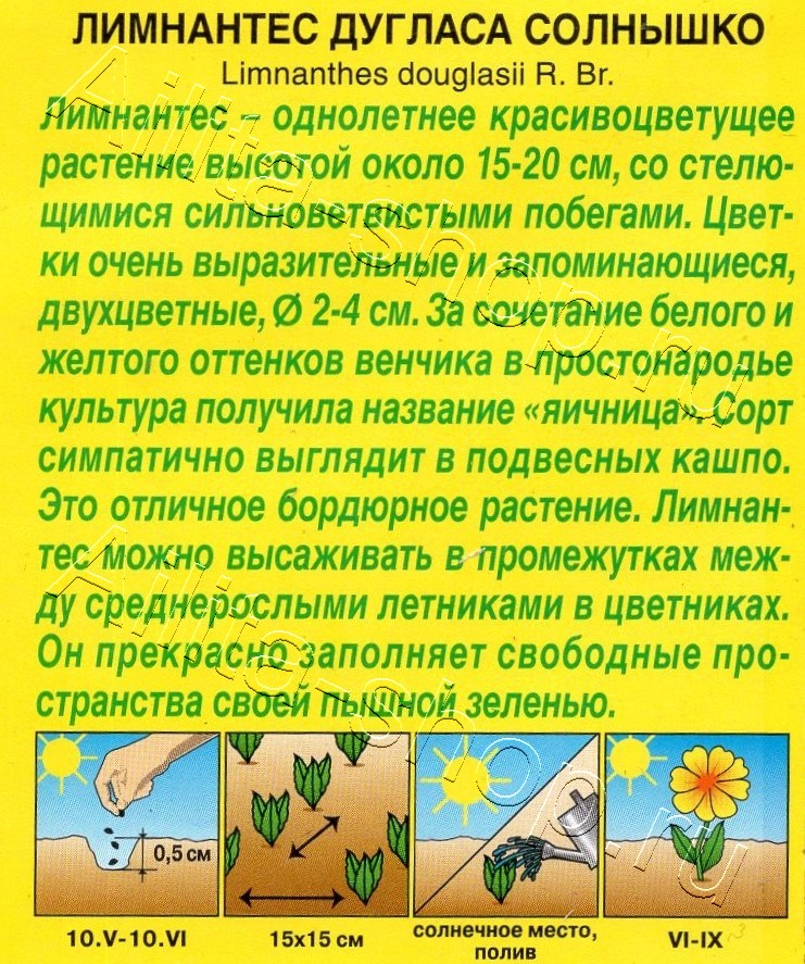 Лимнантес дугласа Солнышко 0,1г