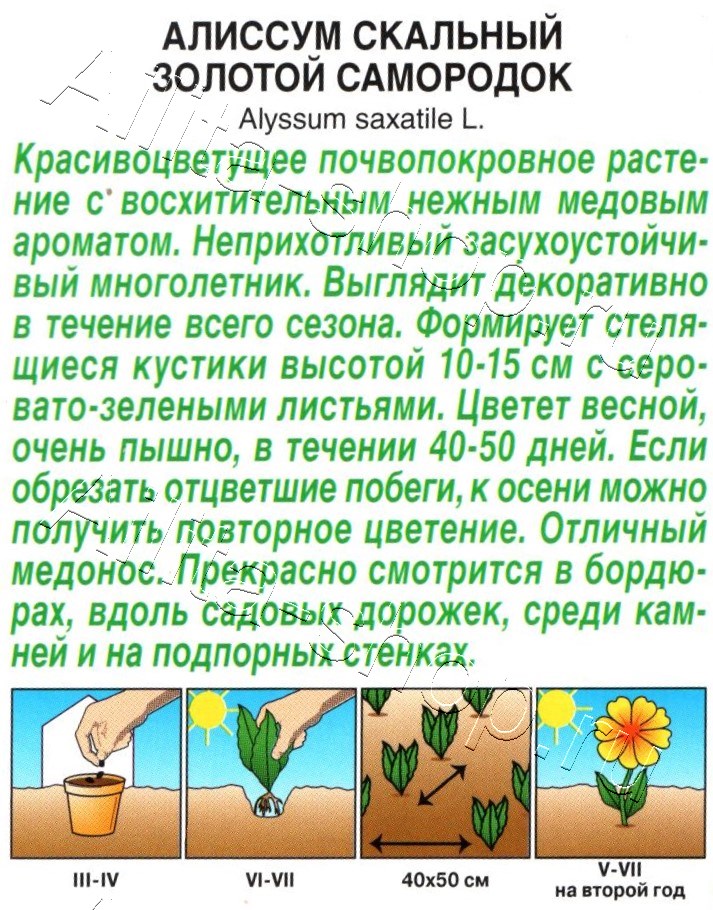 Алиссум Золотой самородок 0,05г