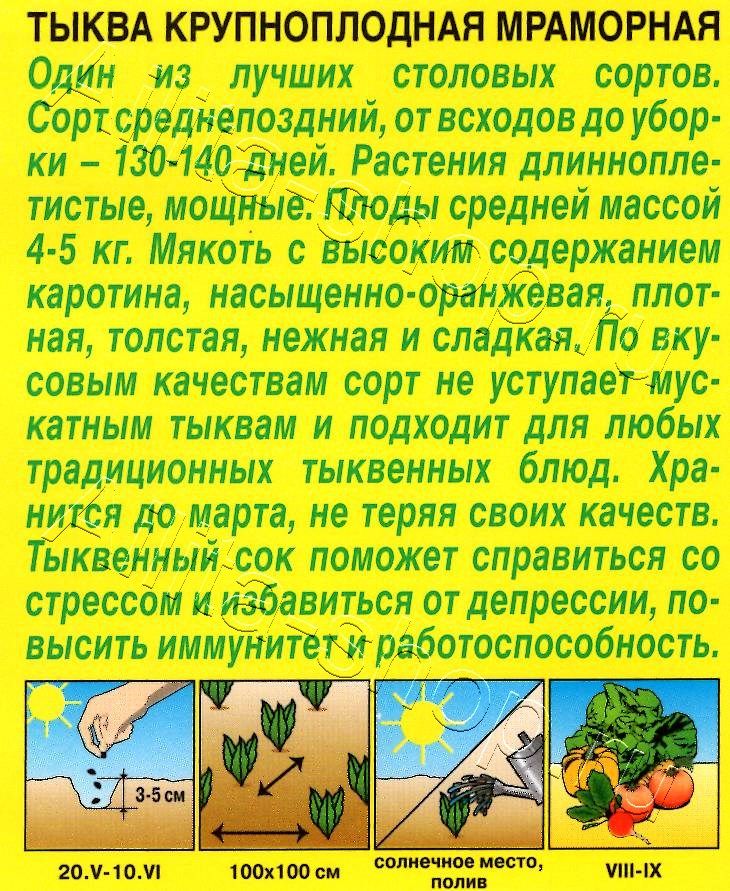 Тыква крупноплодная Мраморная 2г