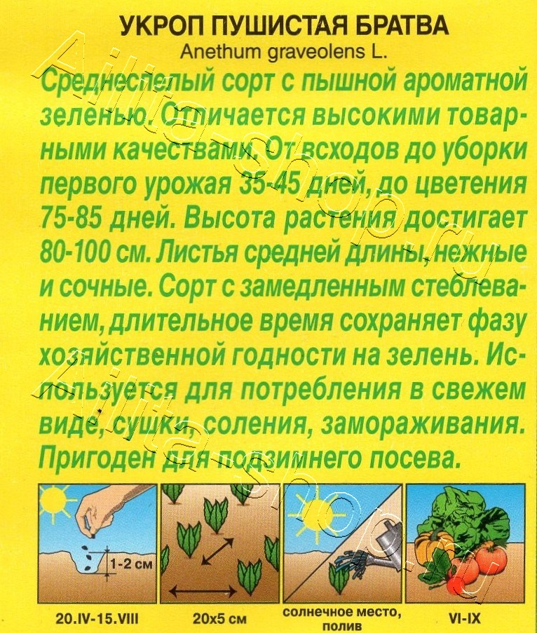 Укроп Пушистая братва 3г