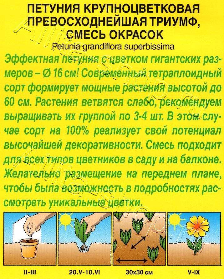 Петуния Триумф крупноцветковая, смесь окрасок 10шт