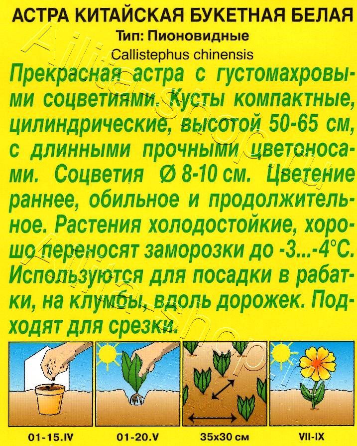 Астра Букетная белая 0,2г