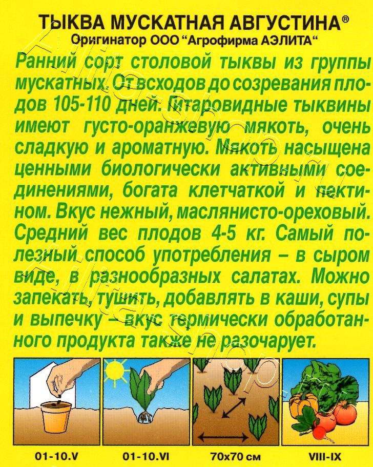 Тыква мускатная Августина 1г