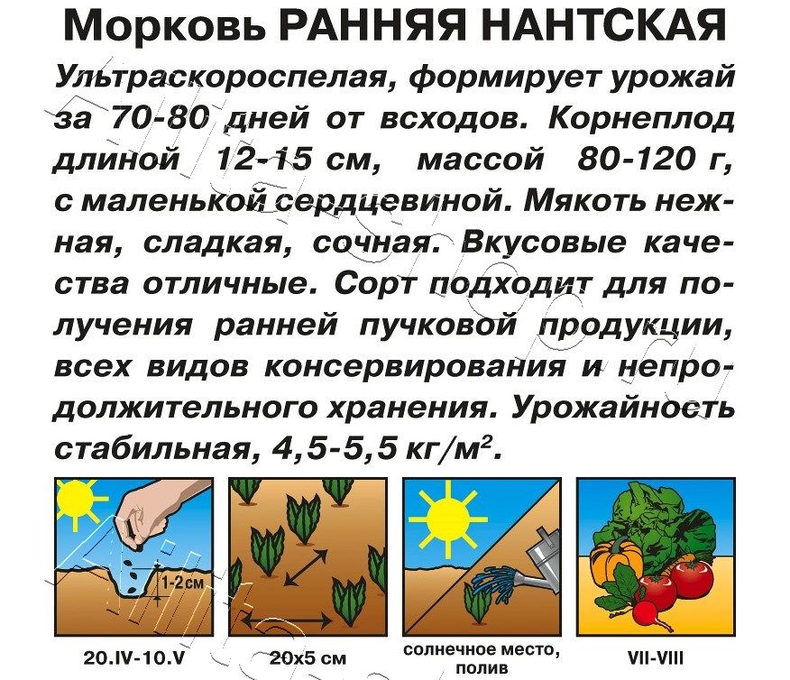 Морковь Ранняя Нантская 2г