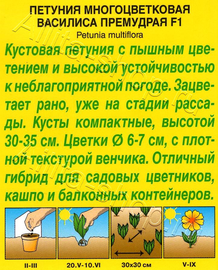 Петуния Василиса Премудрая F1 многоцветковая 7шт