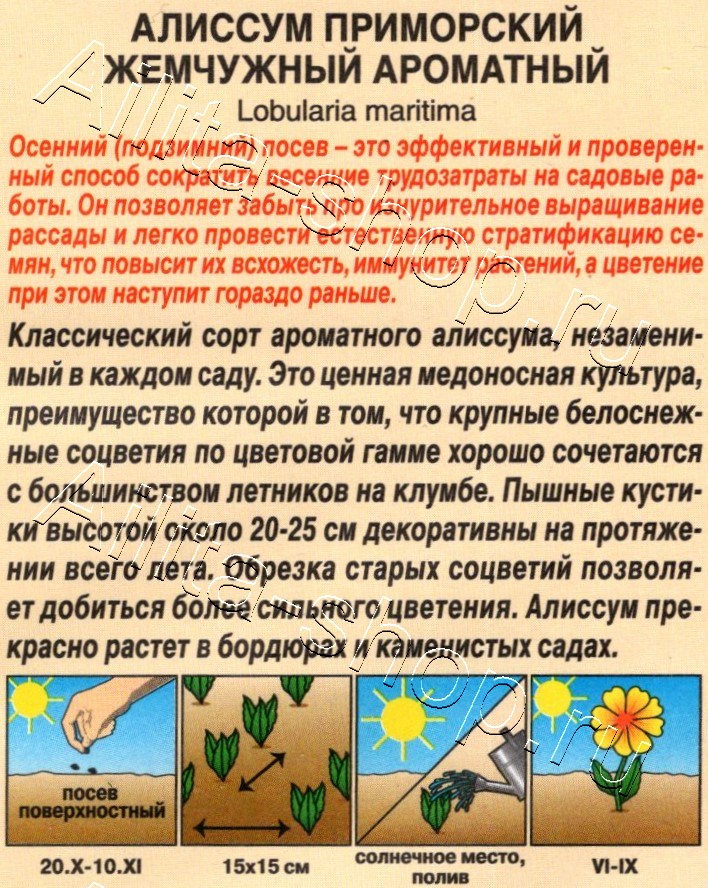Алиссум Жемчужный ароматный 0,1г