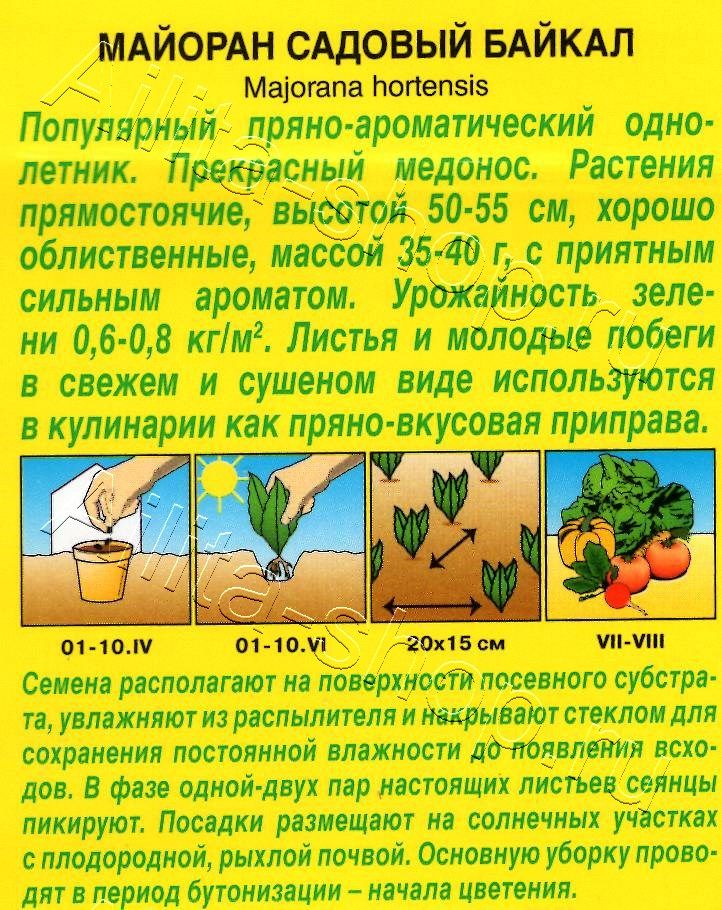 Майоран садовый Байкал 0,1г