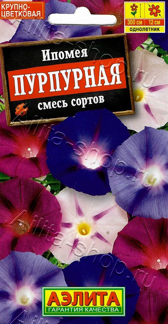 Ипомея Пурпурная, смесь окрасок 0,5г