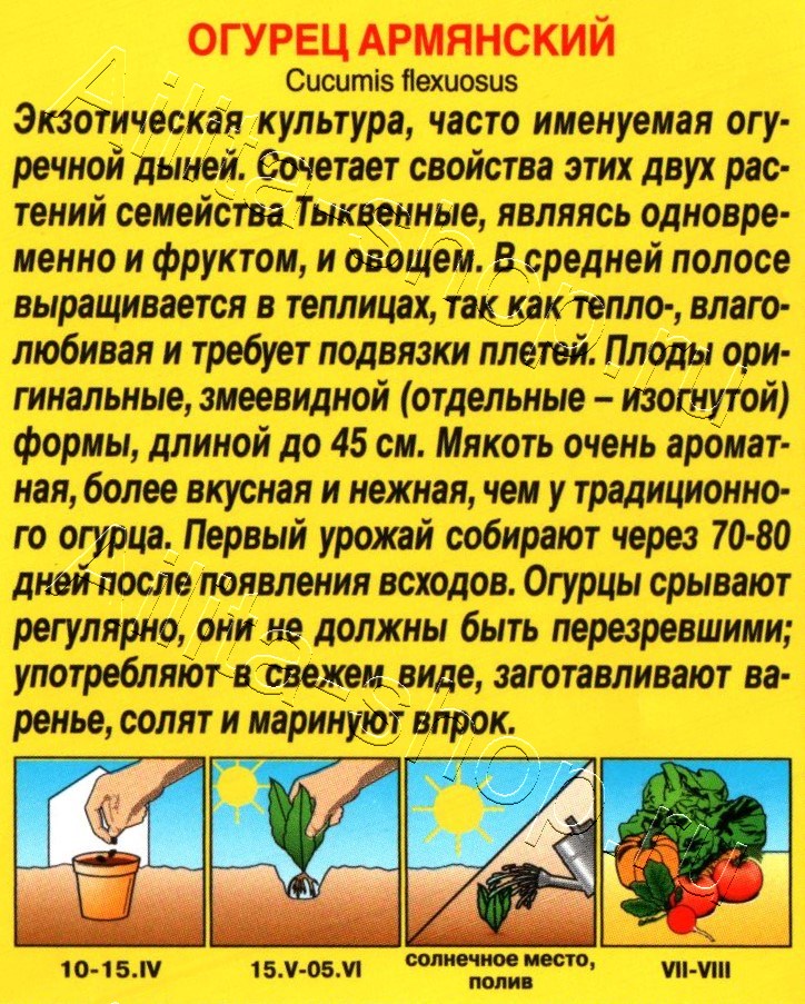 Огурец Армянский 10шт