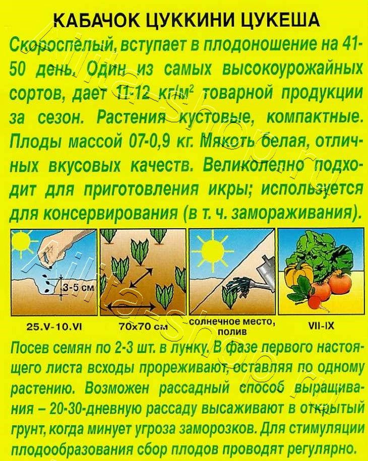 Кабачок цуккини Цукеша 2г