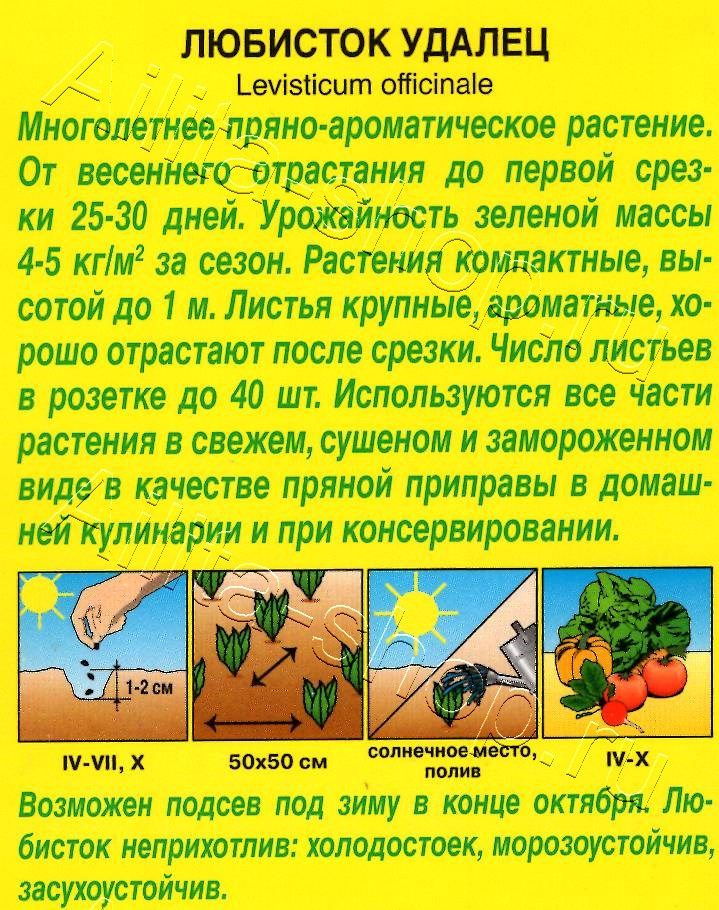 Любисток Удалец 0,3г
