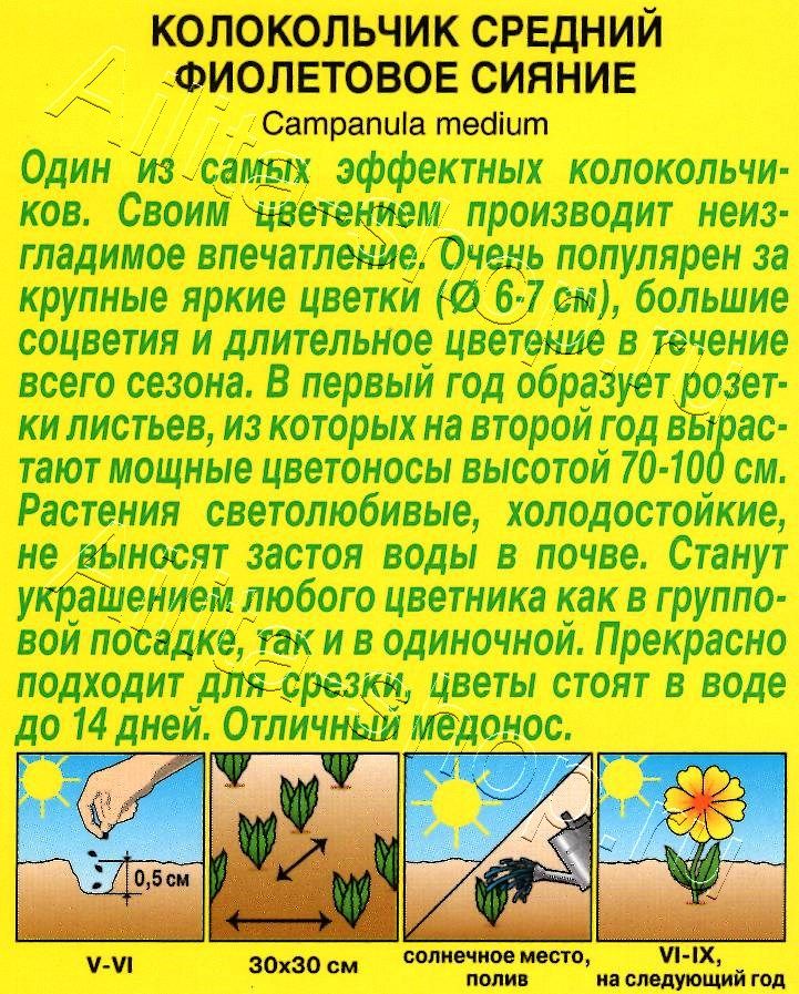 Колокольчик Фиолетовое сияние 0,1г