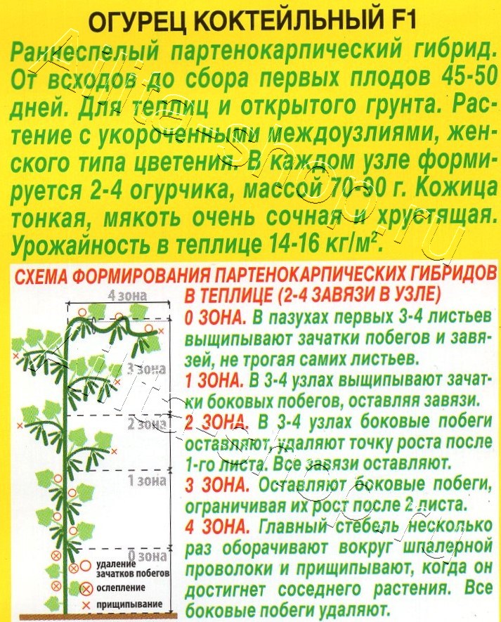 Огурец Коктейльный F1 10шт