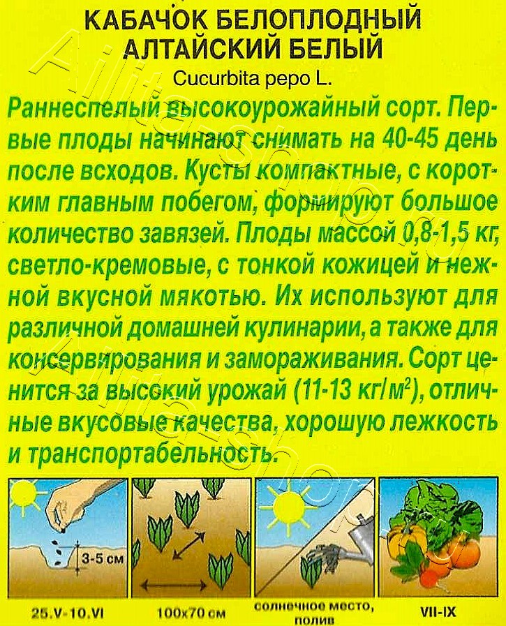 Кабачок белоплодный Алтайский белый 1г