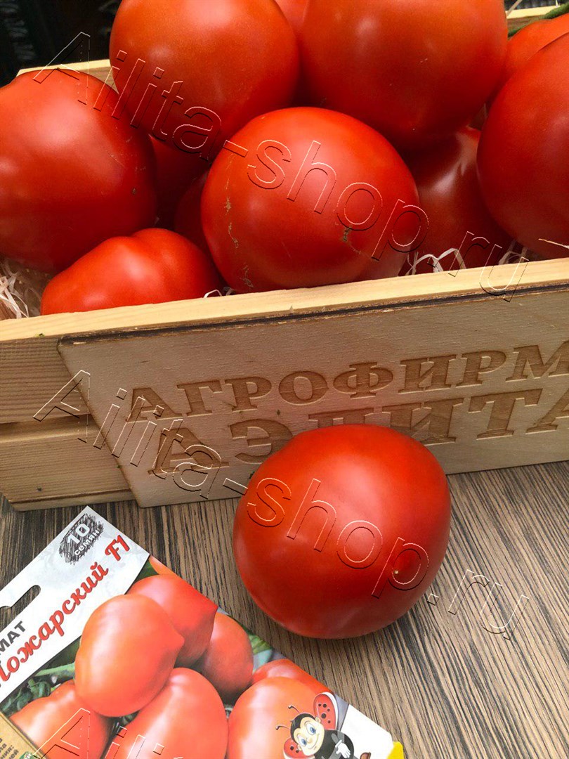 Томат Пожарский F1 10шт