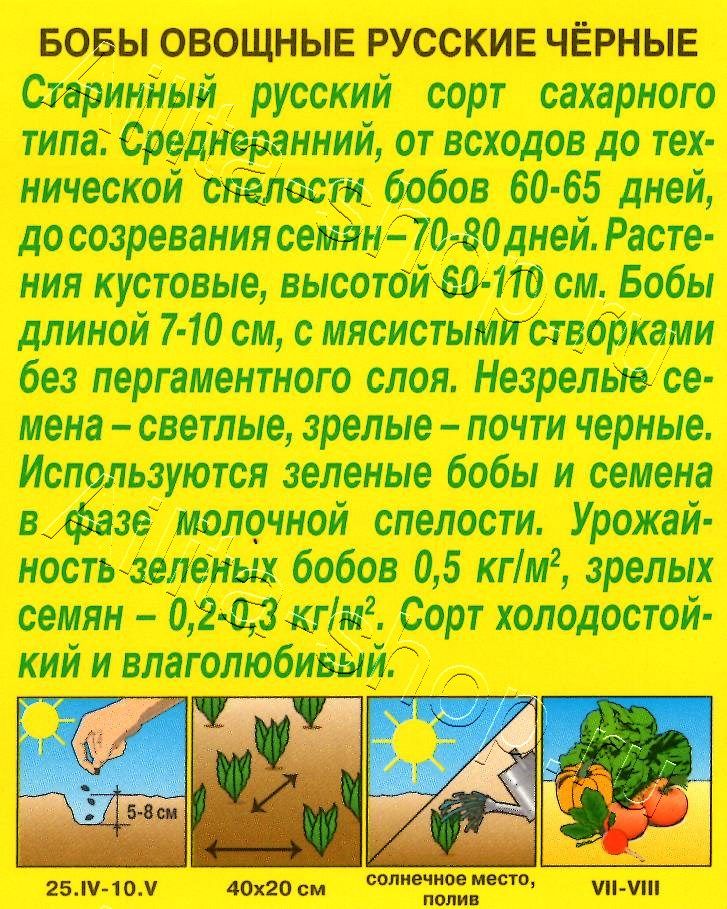 Бобы овощные Русские черные 10г