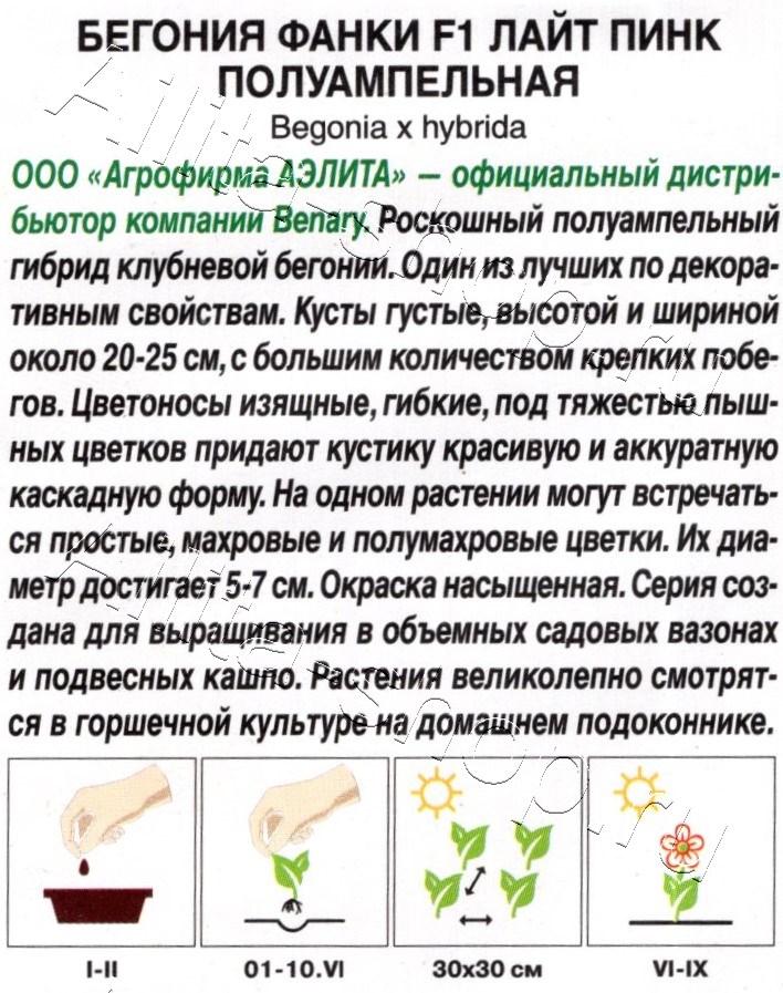 Бегония Фанки F1 лайт пинк полуампельная 4шт