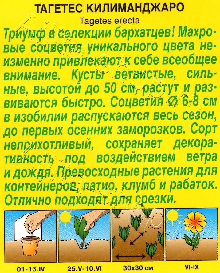 Бархатцы Килиманджаро прямостоячие 0,05г