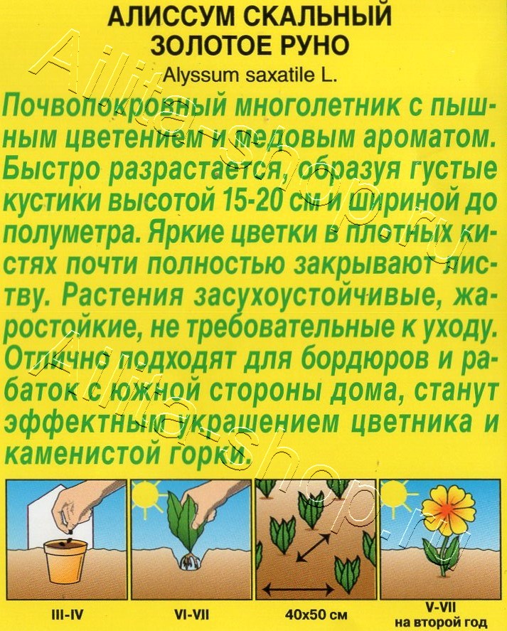 Алиссум скальный Золотое руно 0,05г