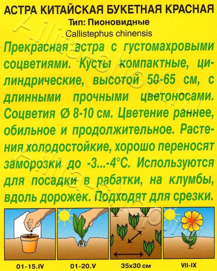 Астра Букетная красная 0,2г