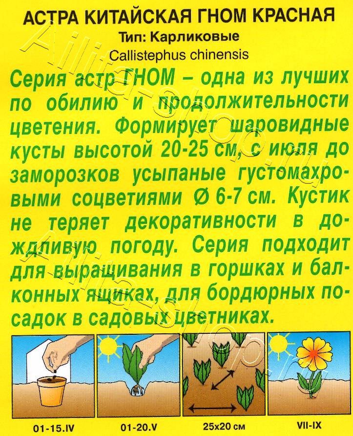 Астра Гном красная 0,2г