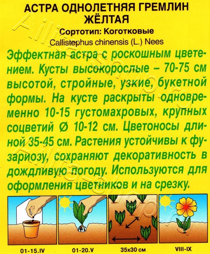 Астра Гремлин желтая 0,2г