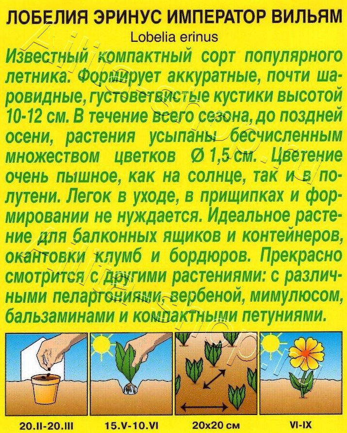 Лобелия Император Вильям 0,05г