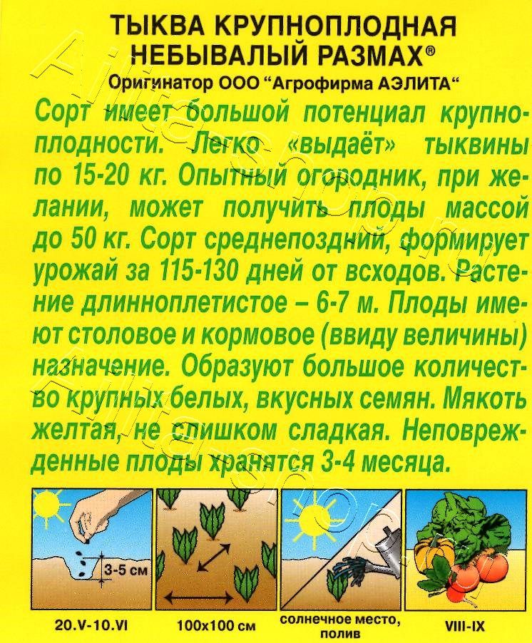 Тыква крупноплодная Небывалый размах 2г