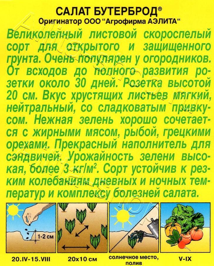 Салат Бутерброд листовой 0,5г