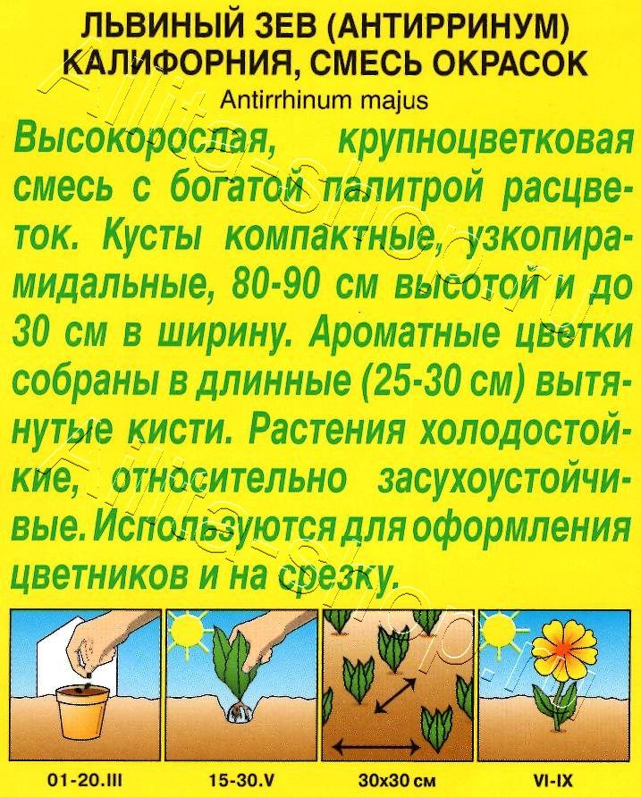 Львиный зев Калифорния, смесь окрасок 0,3г