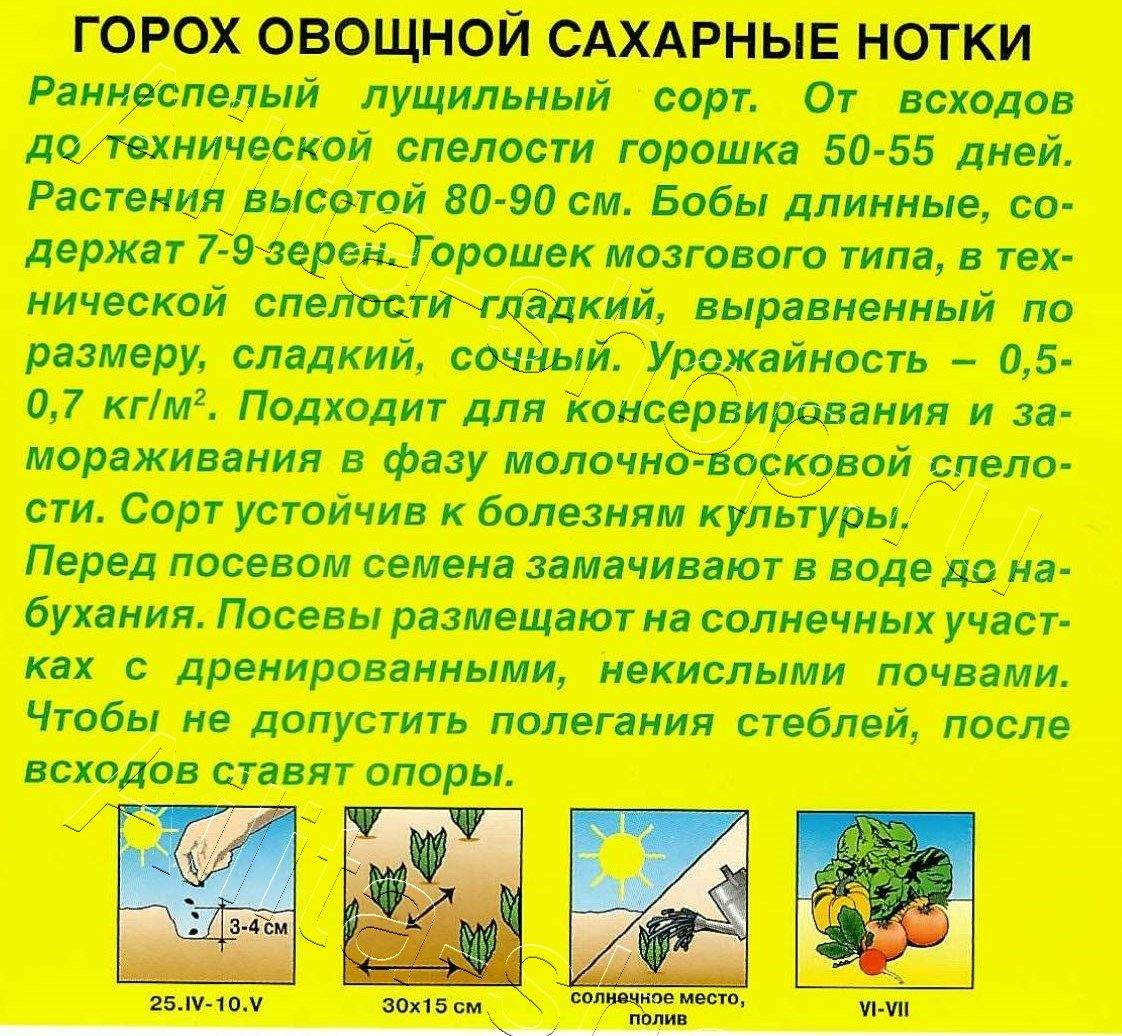 Горох овощной Сахарные нотки 25г