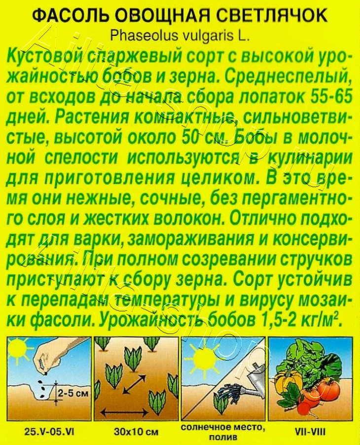 Фасоль овощная Светлячок 5г