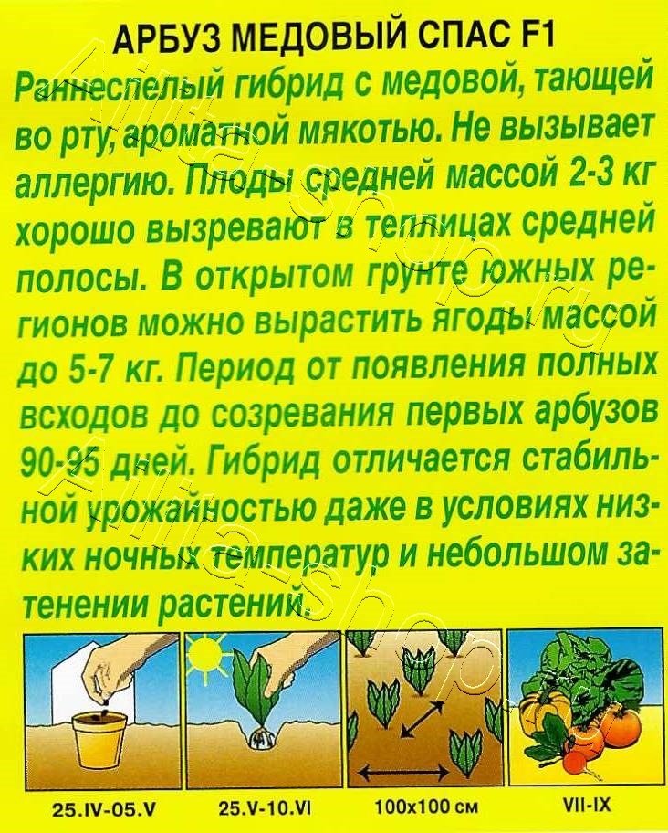 Арбуз Медовый спас F1 5шт