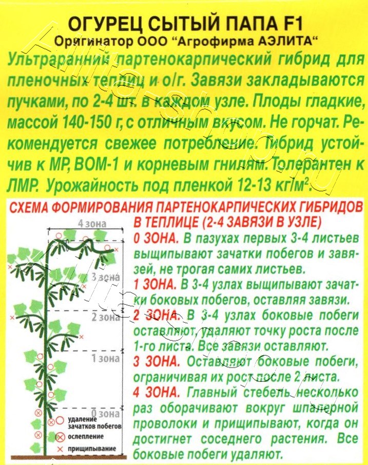 Огурец Сытый папа F1 10шт