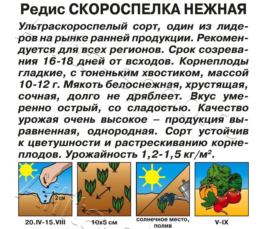 Редис Скороспелка нежная 2г